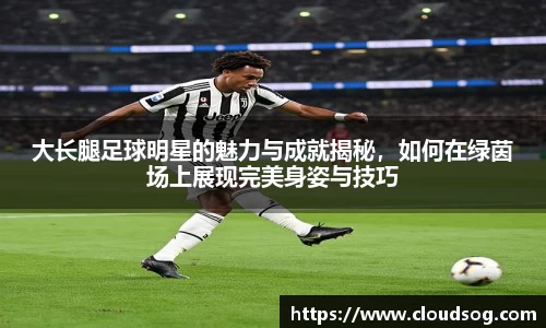 大长腿足球明星的魅力与成就揭秘，如何在绿茵场上展现完美身姿与技巧